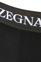 Logo Trunks