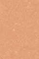 12N Light Medium - Olive neutral undertones