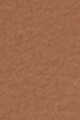 5W0 Tan