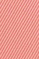 N°23 Rose Blush