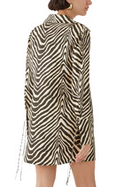 Sana Silk Shirt Tie Mini Dress