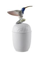 Hummingbird Box