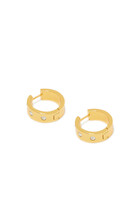 Eagle Hoop Metal Earrings