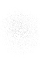 Brume De Beauté Beauty Mist