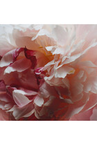 Peony & Blush Suede Diffuser