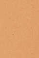 4W1 Honey Bronze