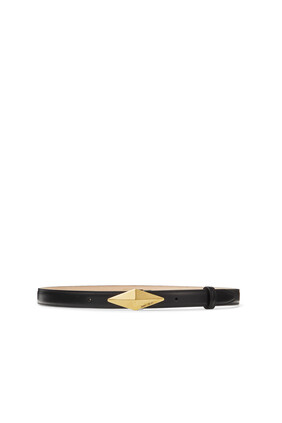 Diamond Clasp Belt