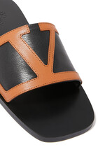 Viva Superstar Slides