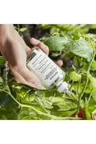 Replica From The Garden Eau de Parfum