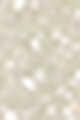 01 North Star - Shimmering Platinum