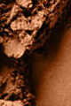 Dark Deep, rich golden bronze