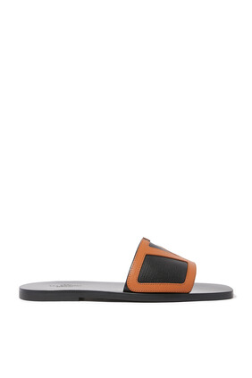 Viva Superstar Slides