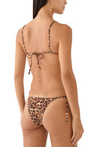 Equator Triangle Bikini Top
