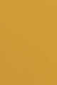 79 Jaune Imperial