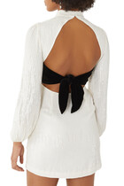 Lara Sequinned Mini Dress