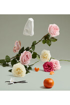 Duchess Rose Eau de Parfum