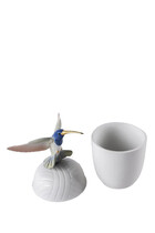 Hummingbird Box