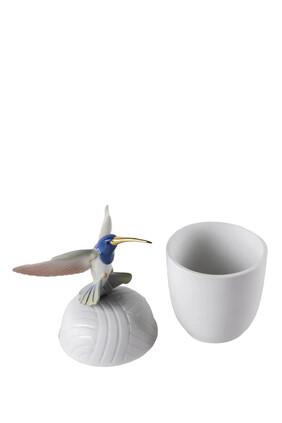 Hummingbird Box
