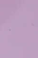 Light/Pastel Purple