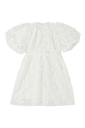 Kids Floral Applique Tulle Dress