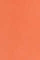 No Color