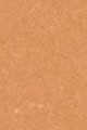 16N Light Medium - Olive neutral undertones