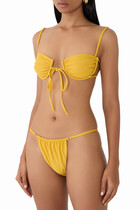 Calico Bikini Briefs