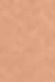 2Y20 Warm Nude