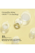 The Absolute Face Oil Refill, Set of 30