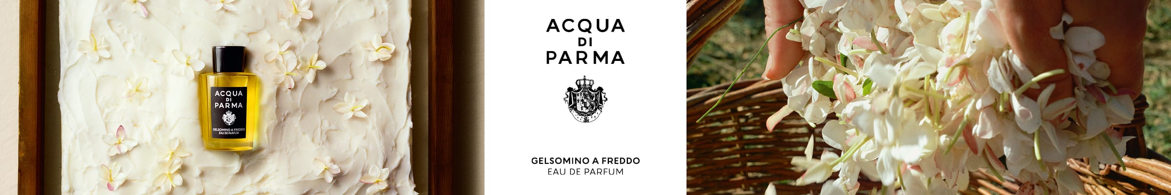 WK31_25-PLPBanner-AcquaDiParma