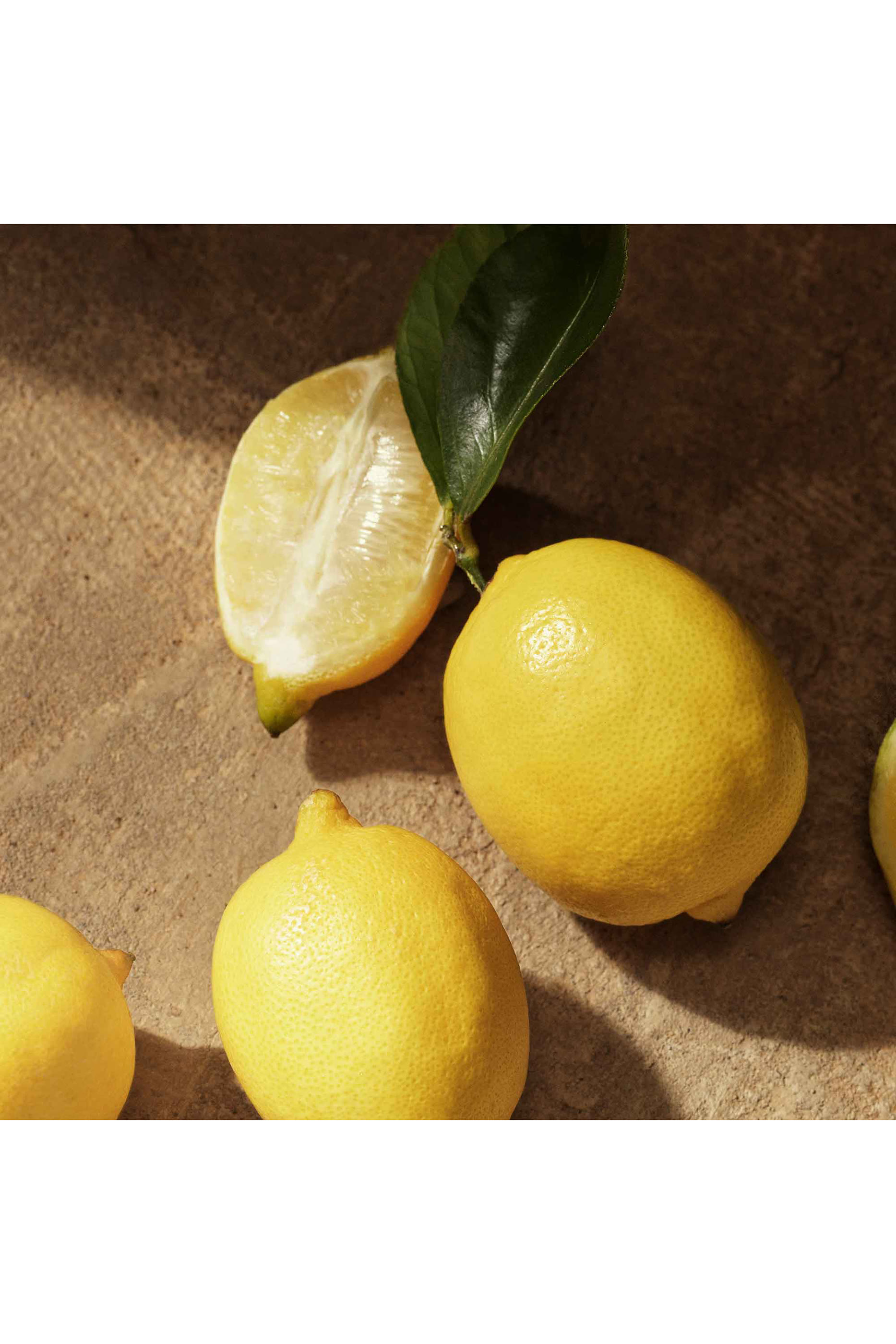 Devotion For Men Eau de Parfum