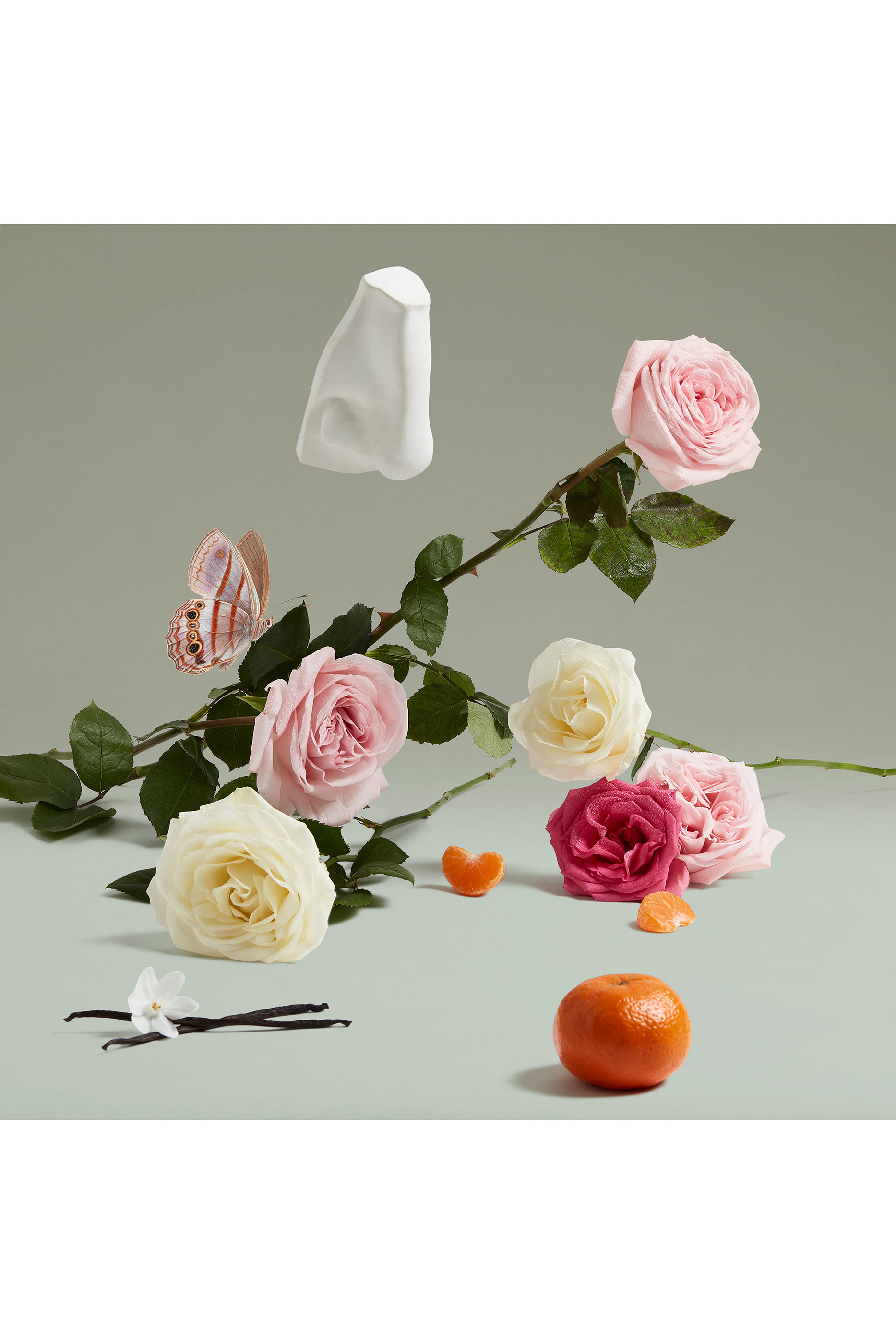 Duchess Rose Eau de Parfum