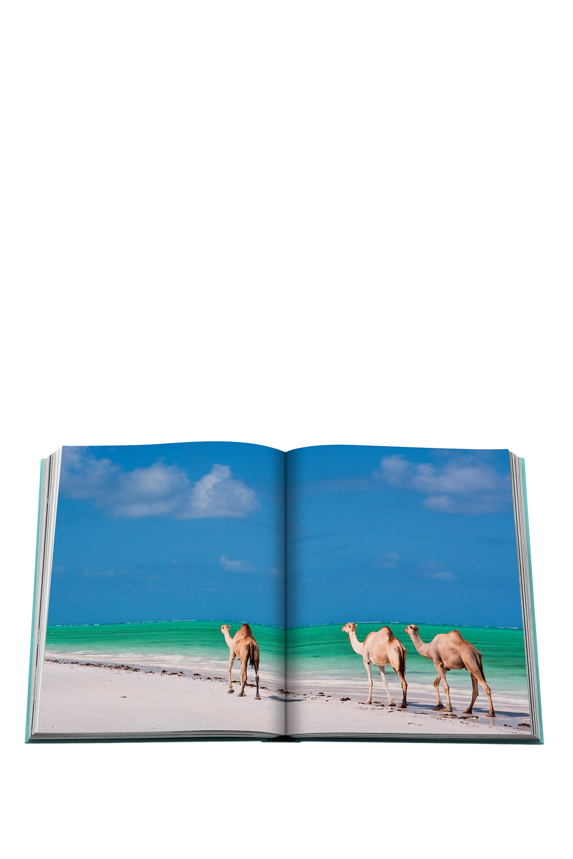 Saudi Arabia: Red Sea, The Saudi Coast