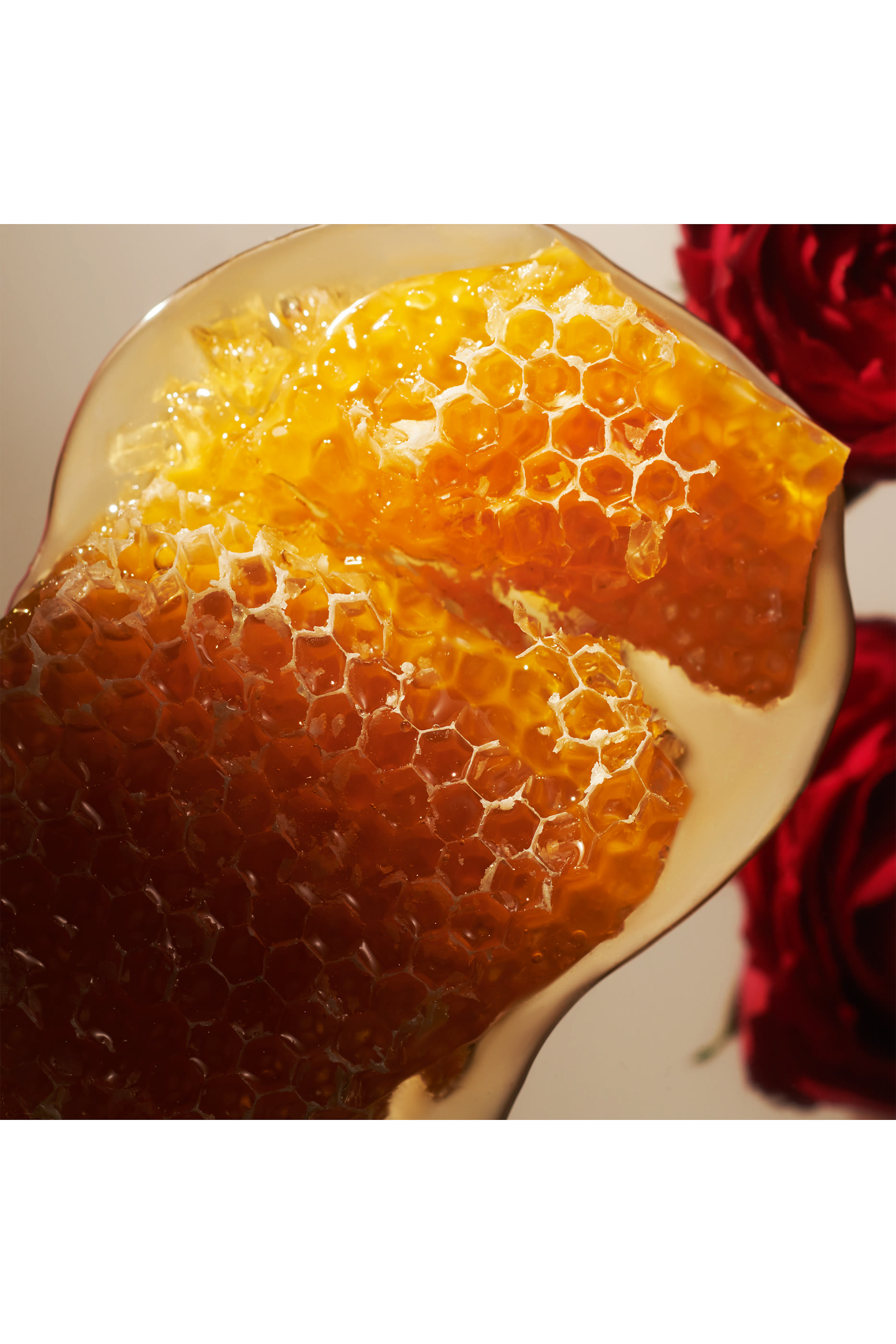 The Ritual of Ayurveda Fragrance Sticks