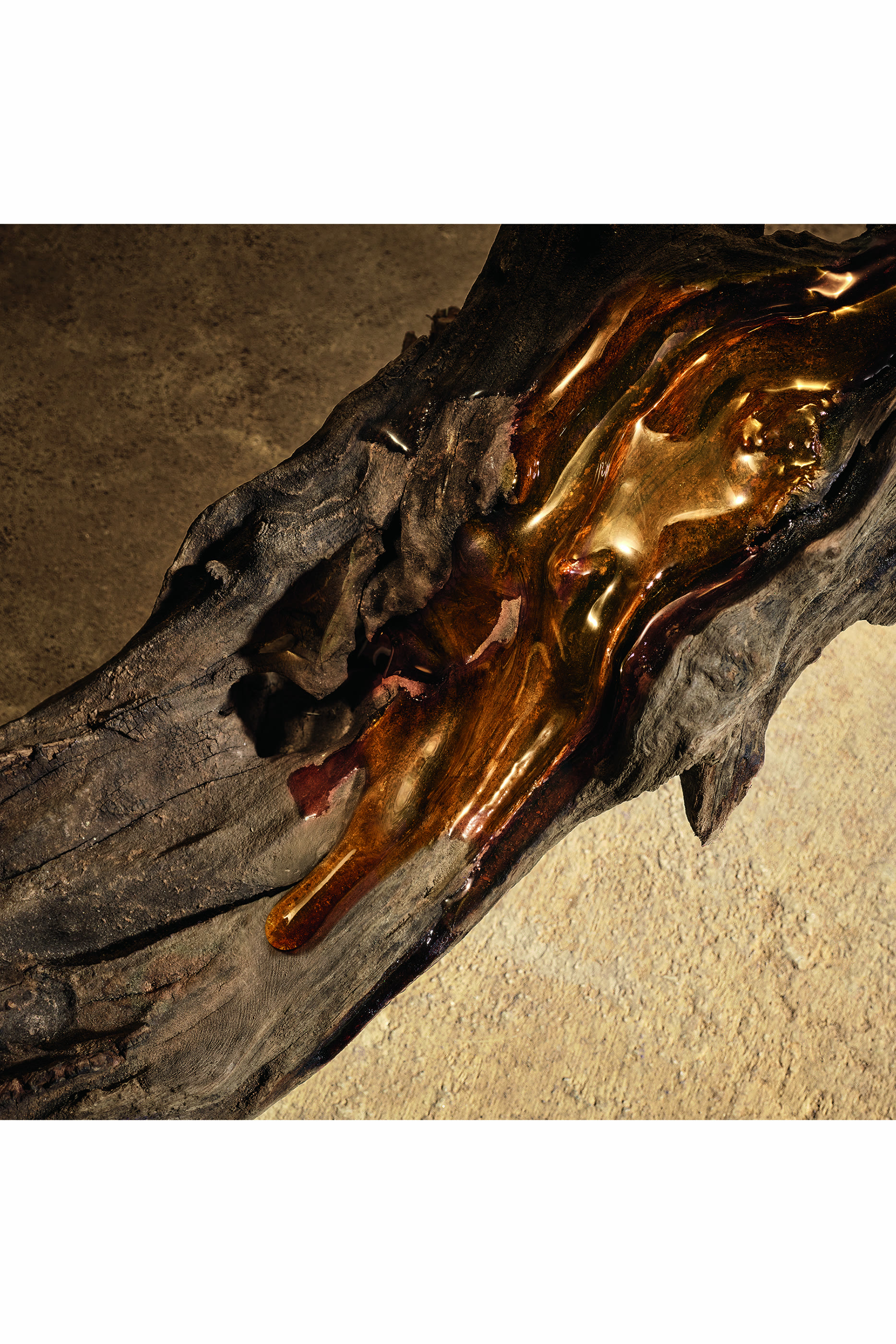 Devotion Male Parfum