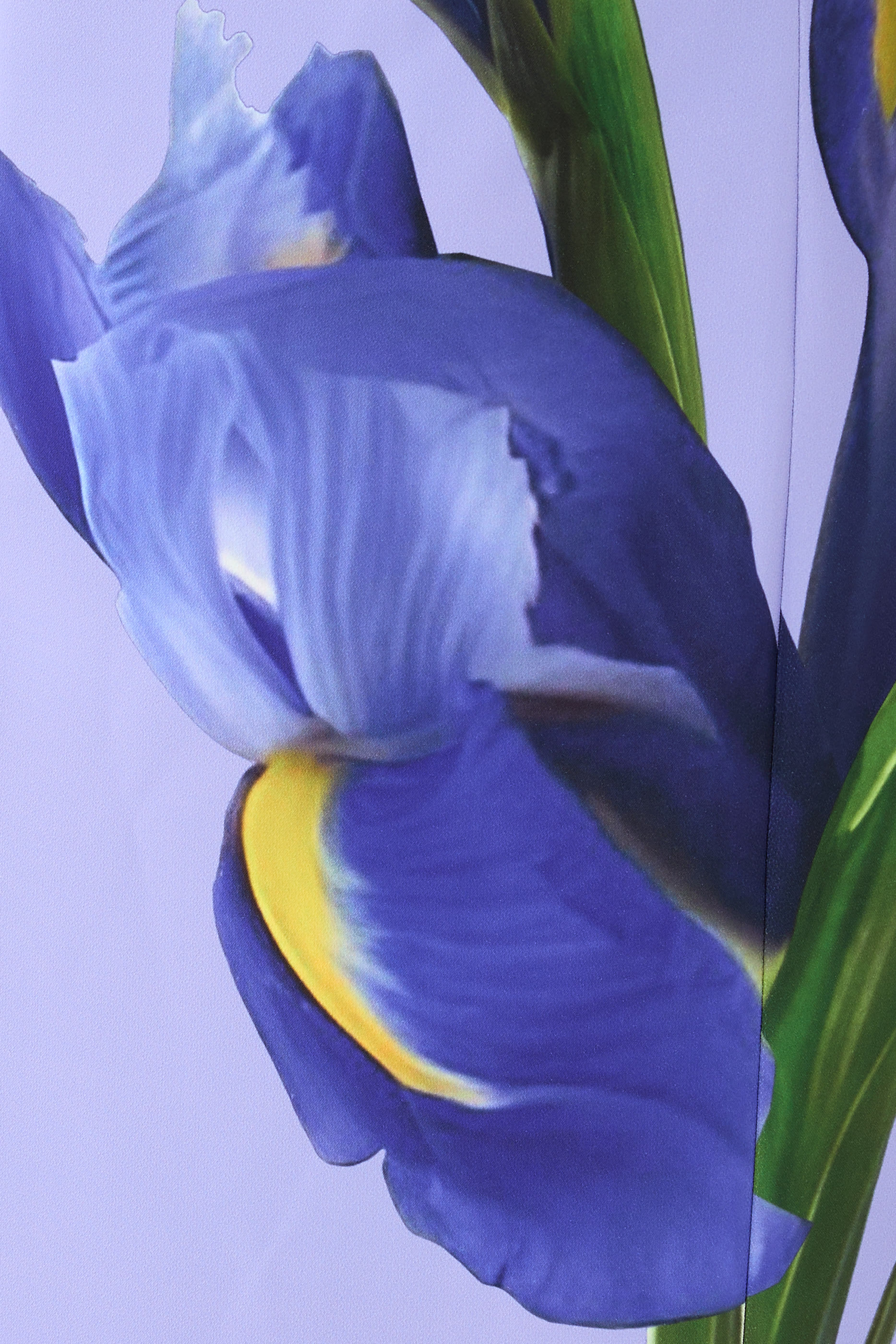  Crepe Digital Flower Print Column Gown