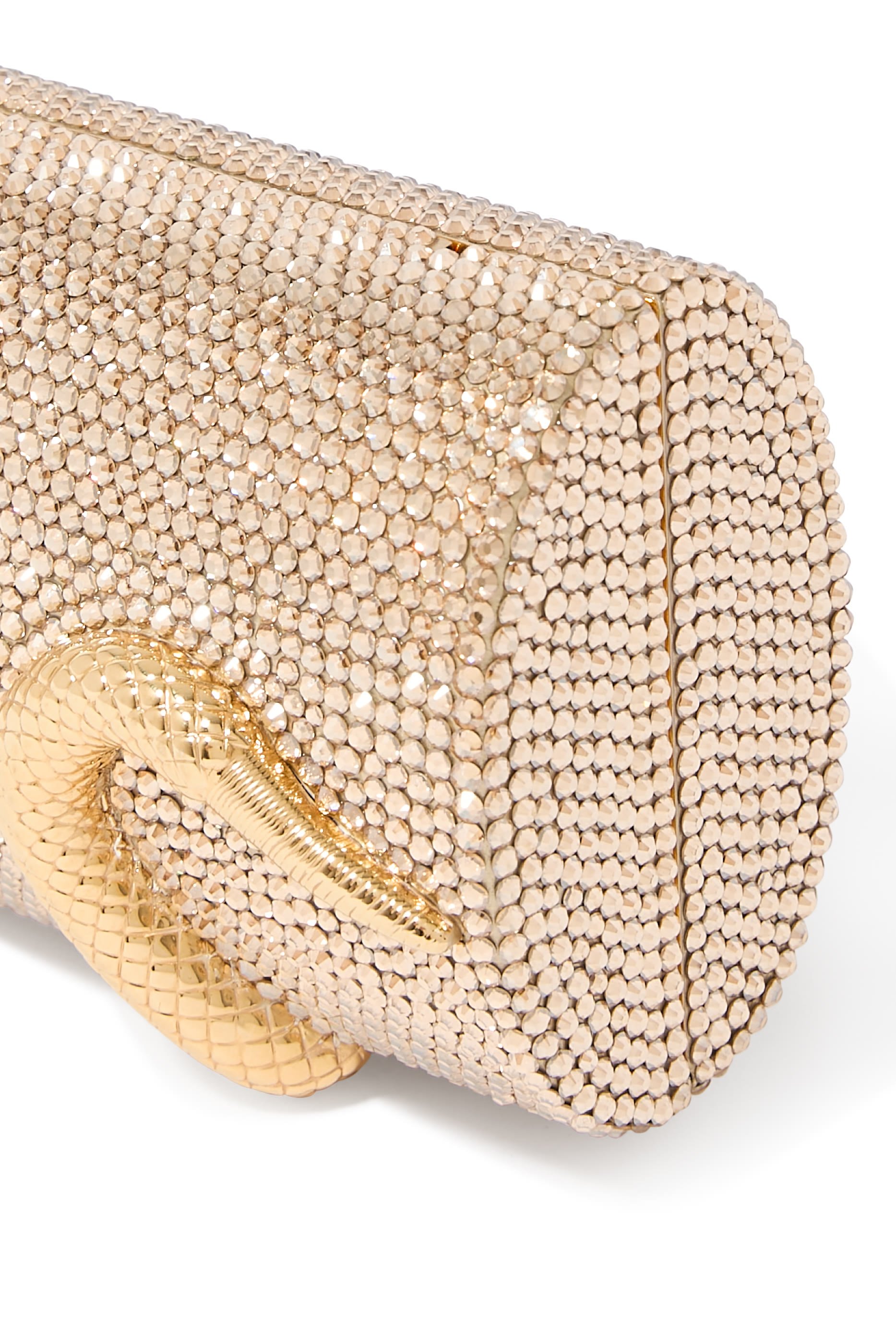  Spiral Snake Crystal Clutch 