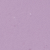 Light/Pastel Purple