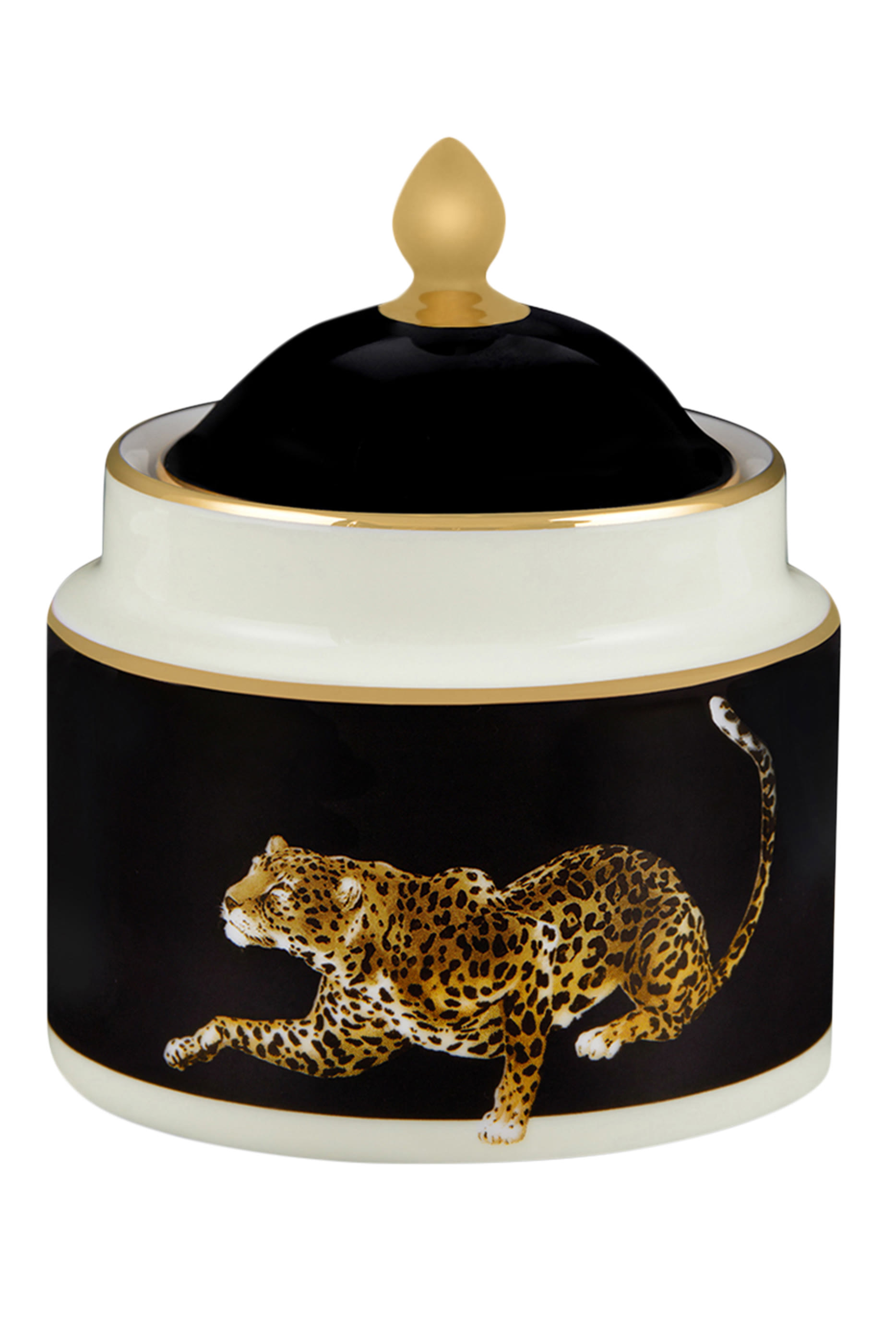 Leo Sugar Bowl