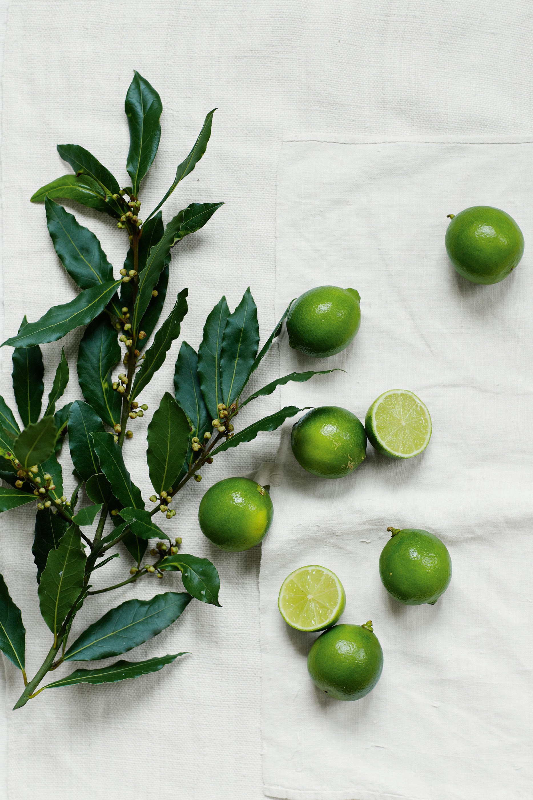 Lime & Bay Hand and Nail Gift Set