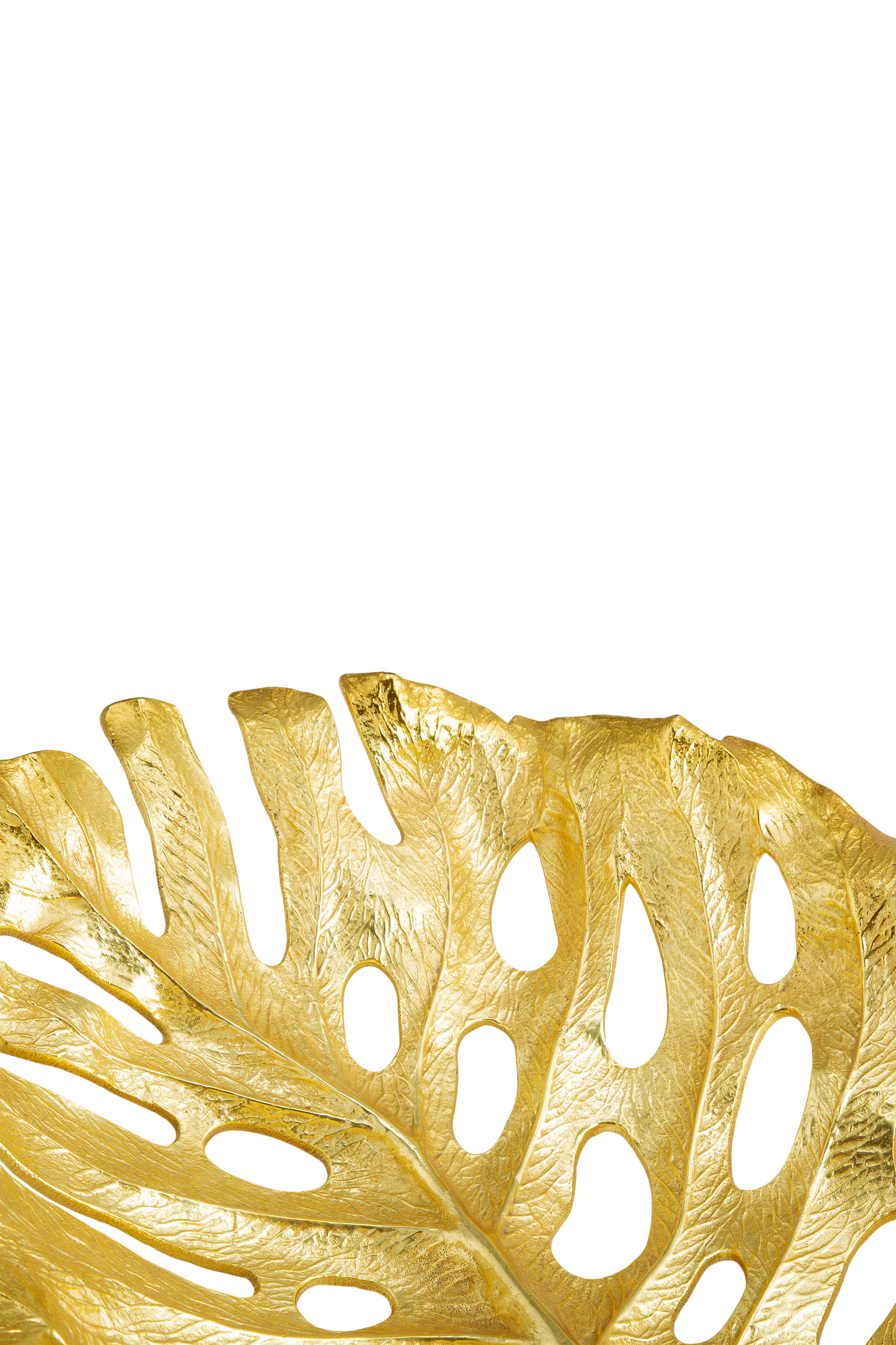 New Leaves Monstera Centerpiece