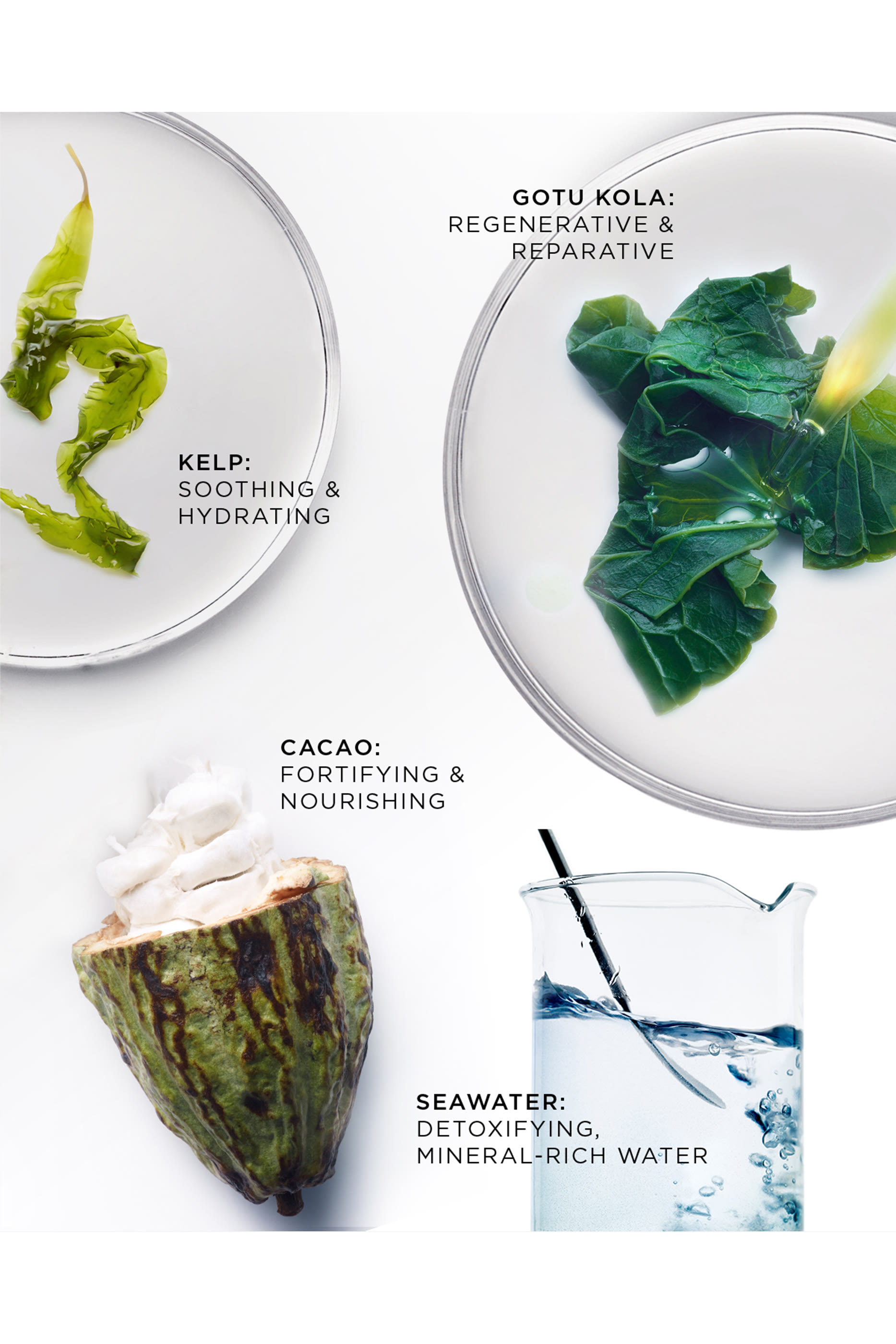 The Brilliant Overnight Recharge Cream