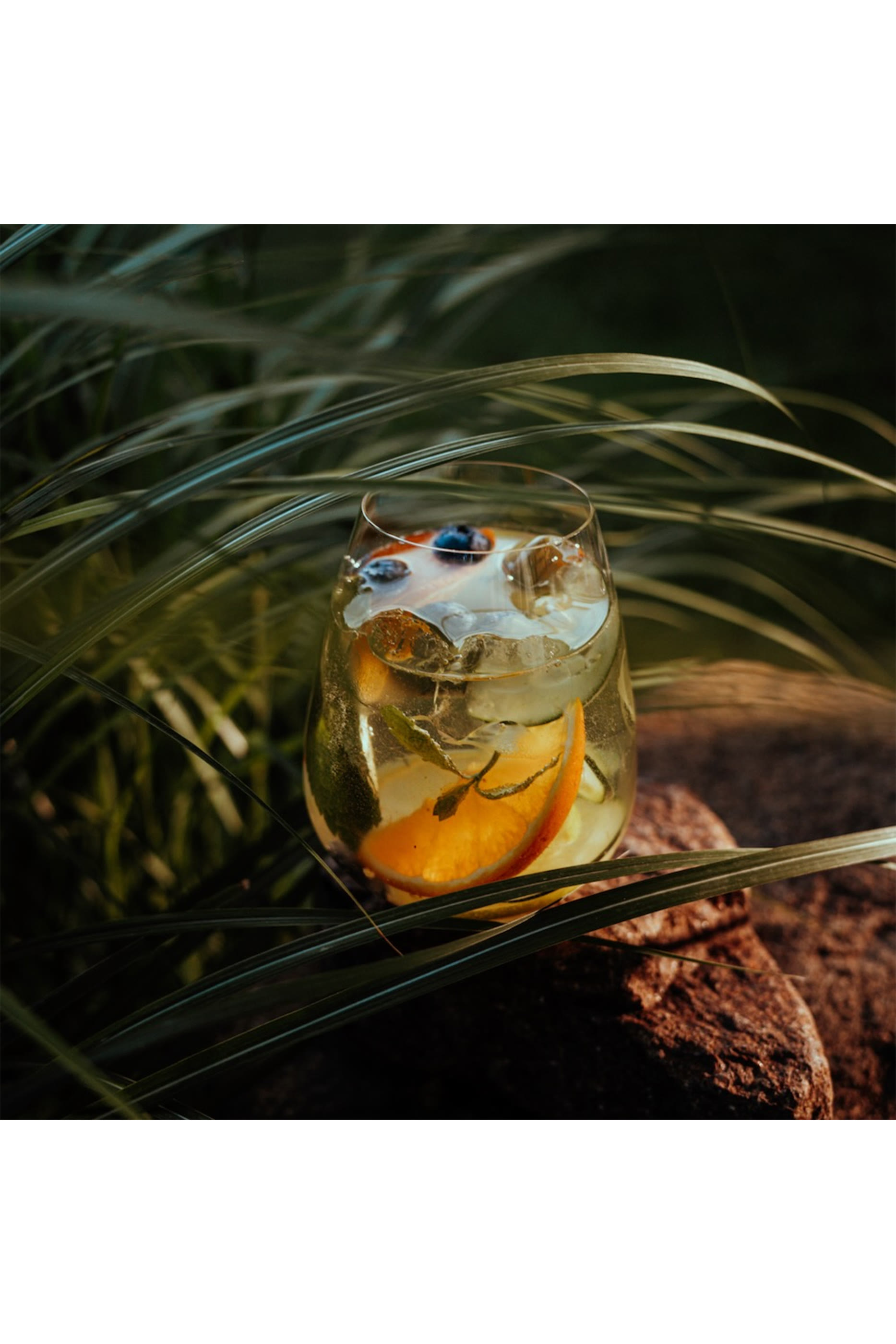 All Purpose Tumbler, Set of 2