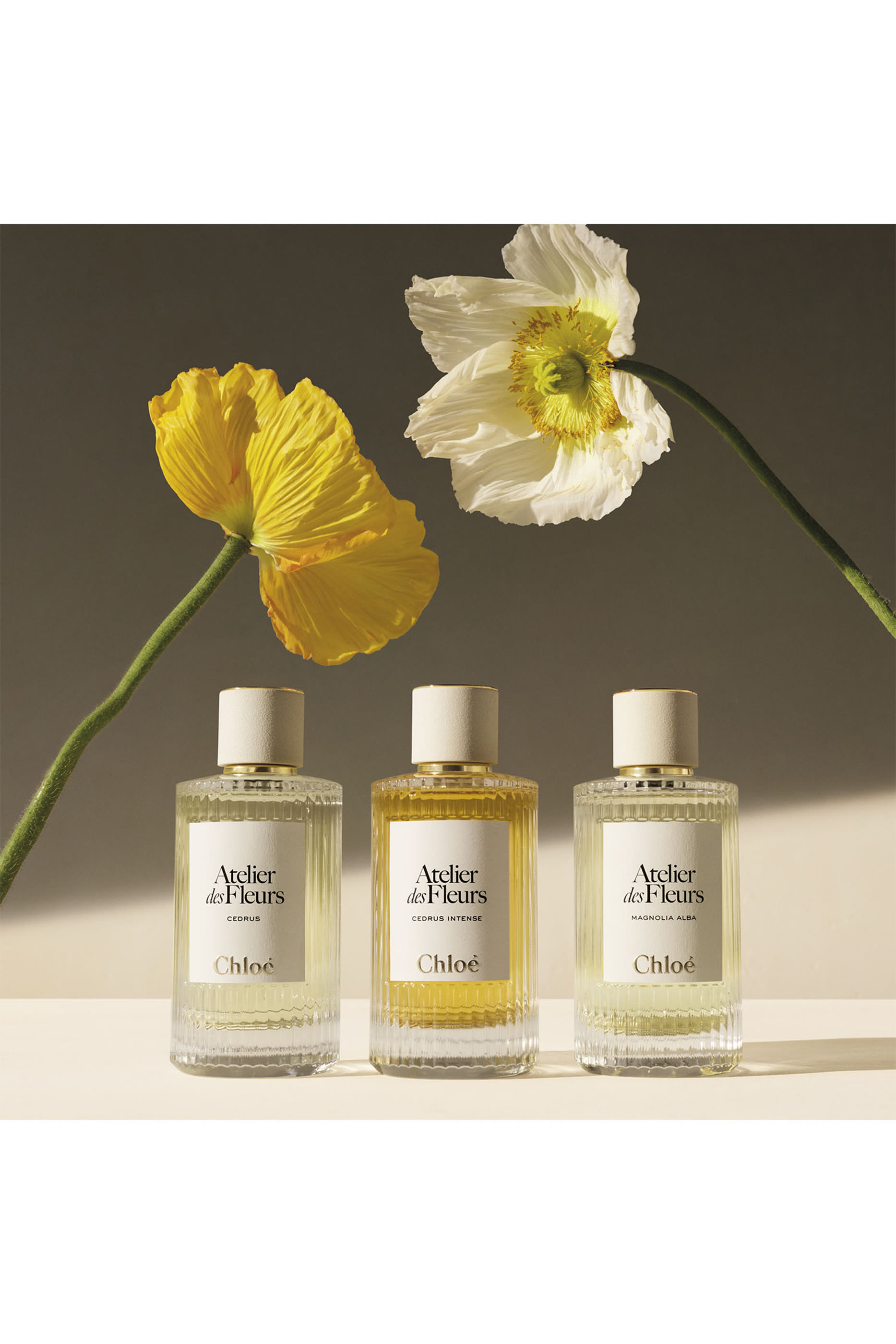 Atelier des Fleurs Ylang Cananga Eau de Parfum