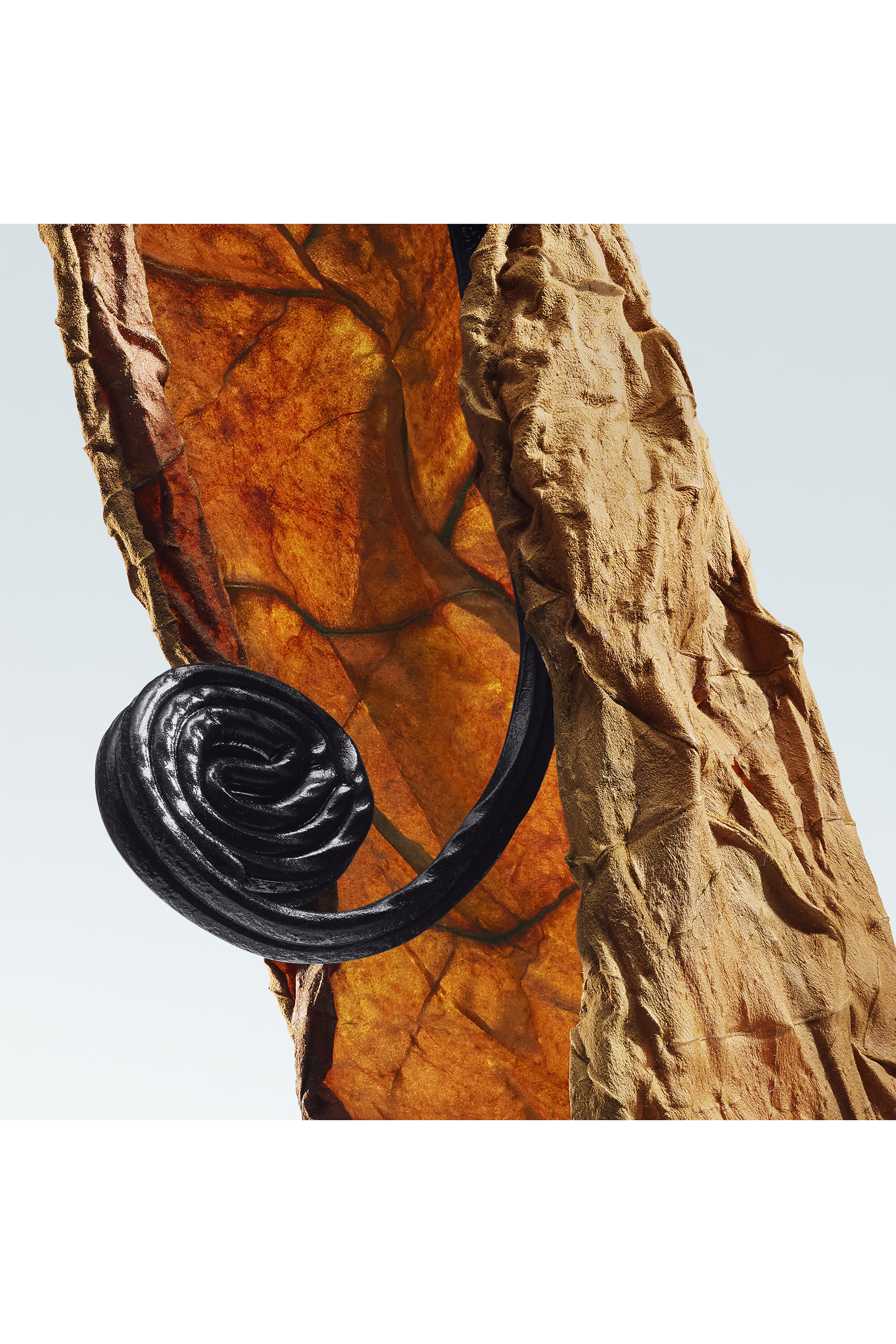 Eau de Parfum Havana Gold 