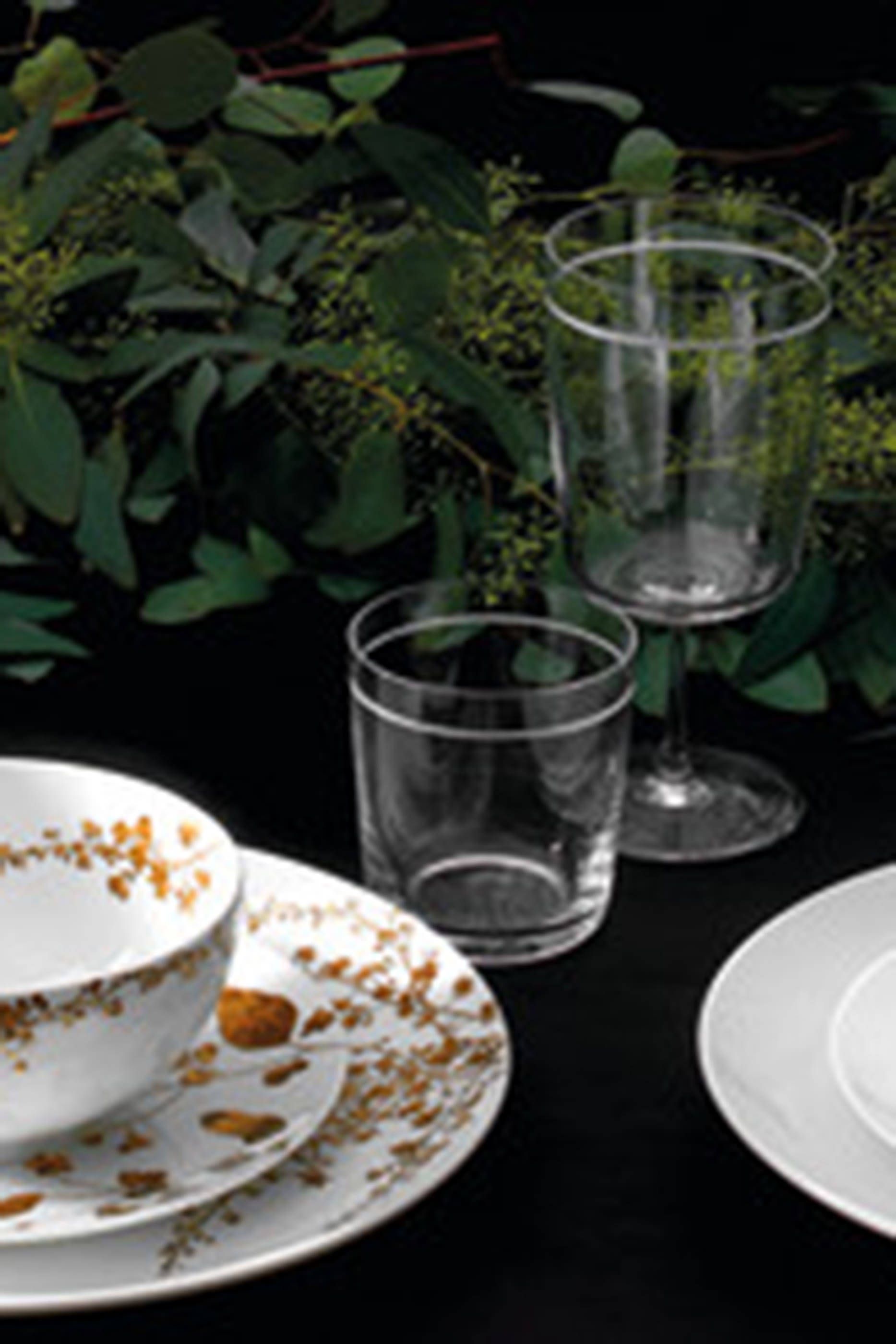 Jardin Rim 22 Soup Plate