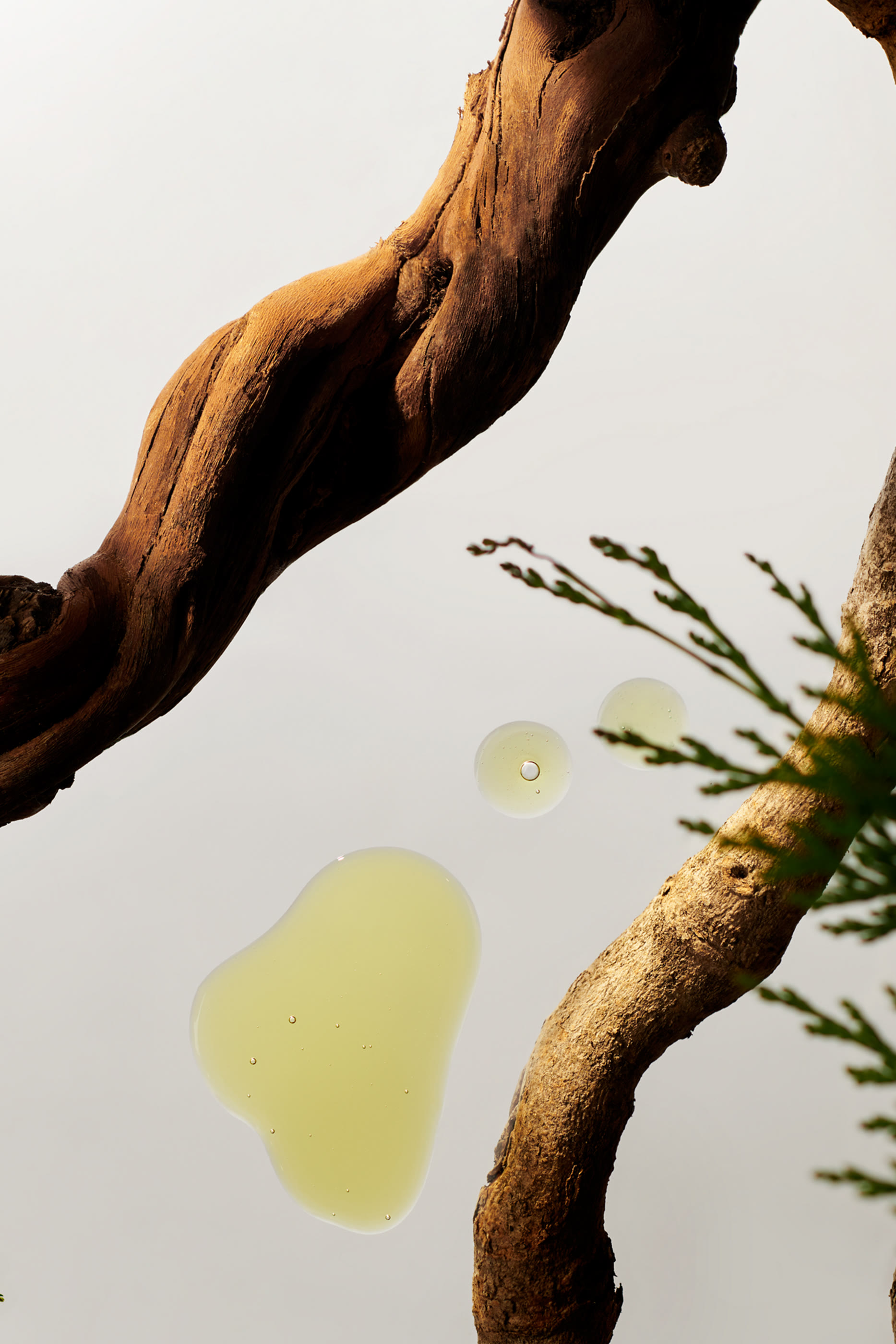 Life is a Journey - Homme Car Perfume