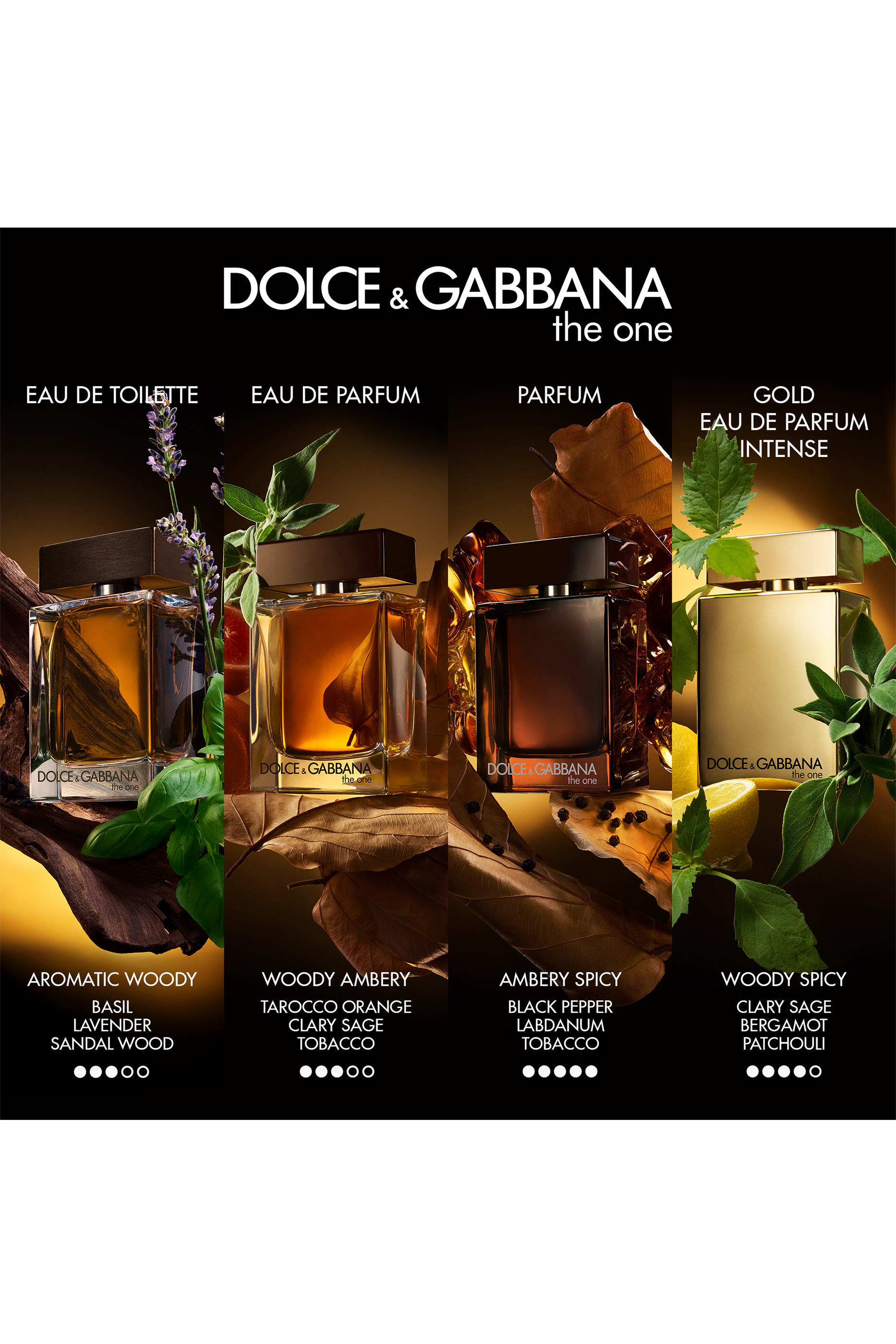 The One Pour Homme Parfum