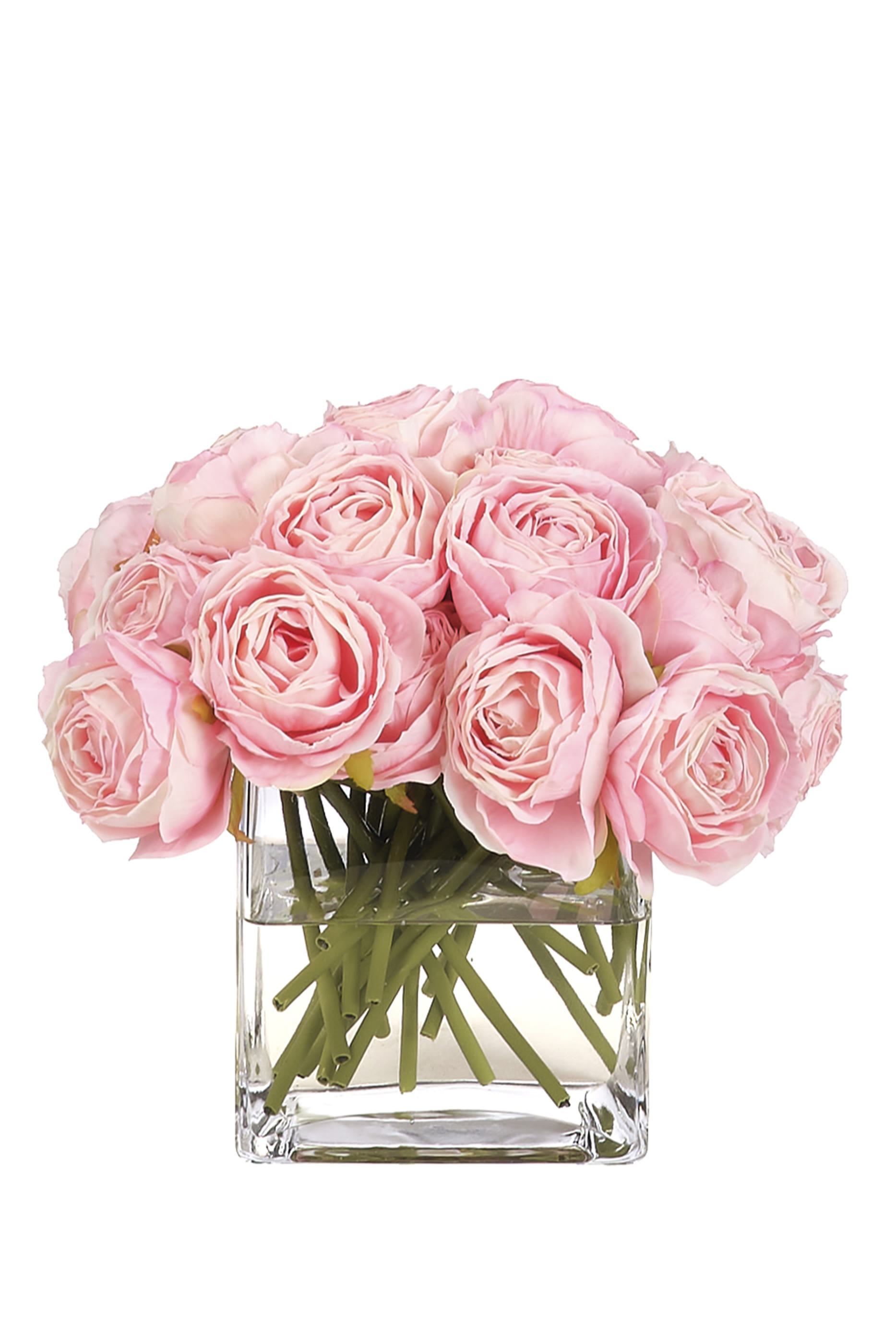 Rose in Cube Vase