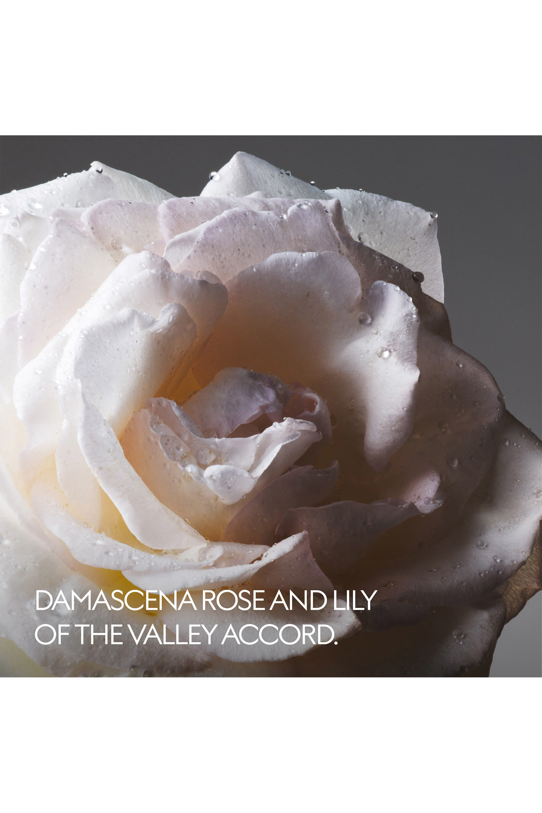 The Alchemist&rsquo;s Garden Tears from the Moon Eau De Parfum